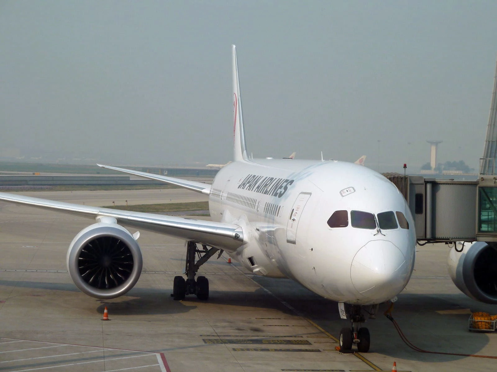JAL 787-8